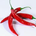 红辣椒怎么做好吃