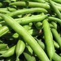 四季豆怎么做好吃