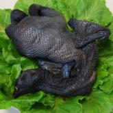 乌鸡怎么做好吃